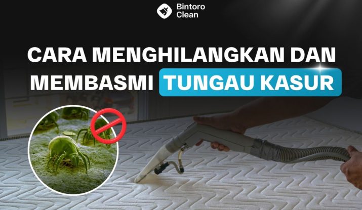 10. Cara Menghilangkan dan Membasmi Tungau Kasur
