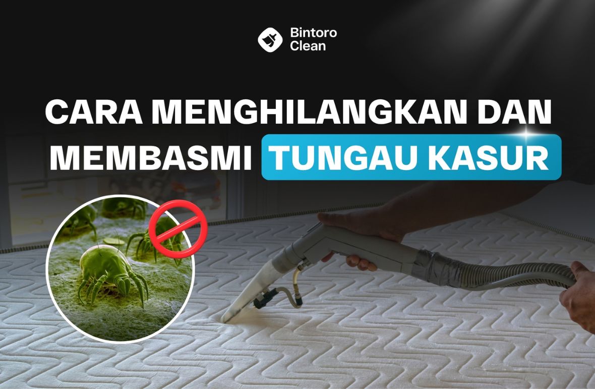 10. Cara Menghilangkan dan Membasmi Tungau Kasur