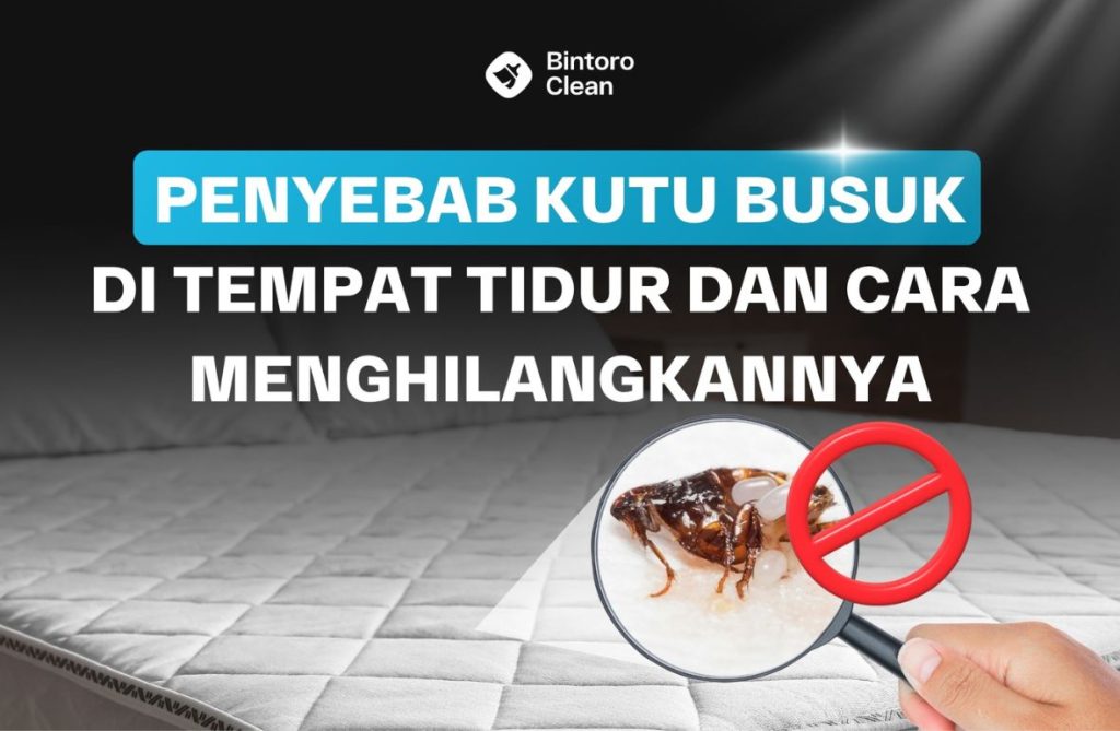 11. Penyebab Kutu Busuk di Tempat Tidur dan Cara Menghilangkannya