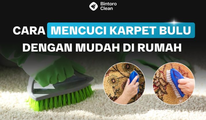 19. Cara Mencuci Karpet Bulu Dengan Mudah Di Rumah