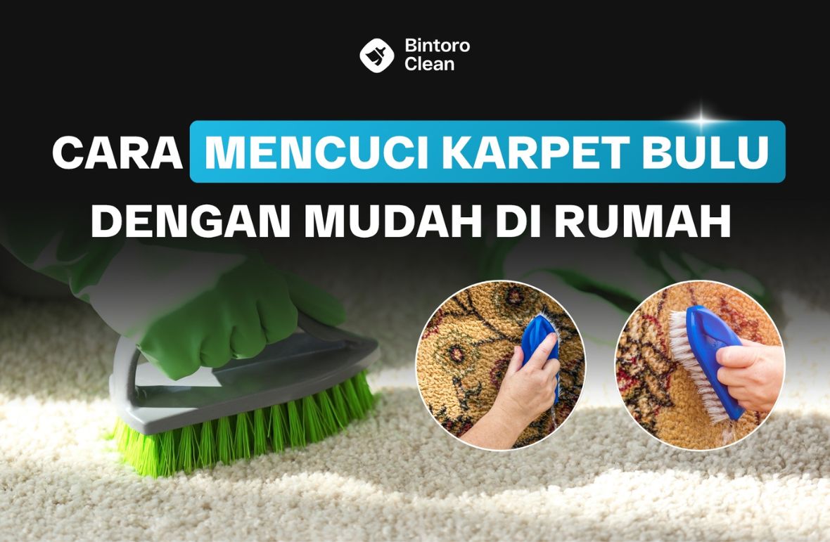 19. Cara Mencuci Karpet Bulu Dengan Mudah Di Rumah