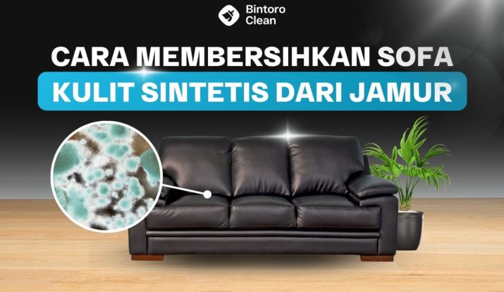 5. Cara Membersihkan Sofa Kulit Sintetis Dari Jamur