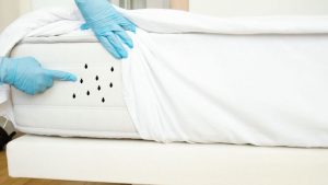 Cleaning bed 