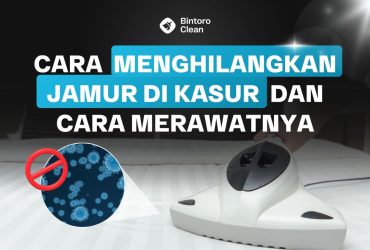 40. Cara Menghilangkan Jamur di Kasur dan Cara Merawatnya