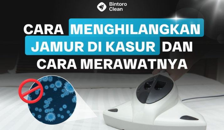 40. Cara Menghilangkan Jamur di Kasur dan Cara Merawatnya