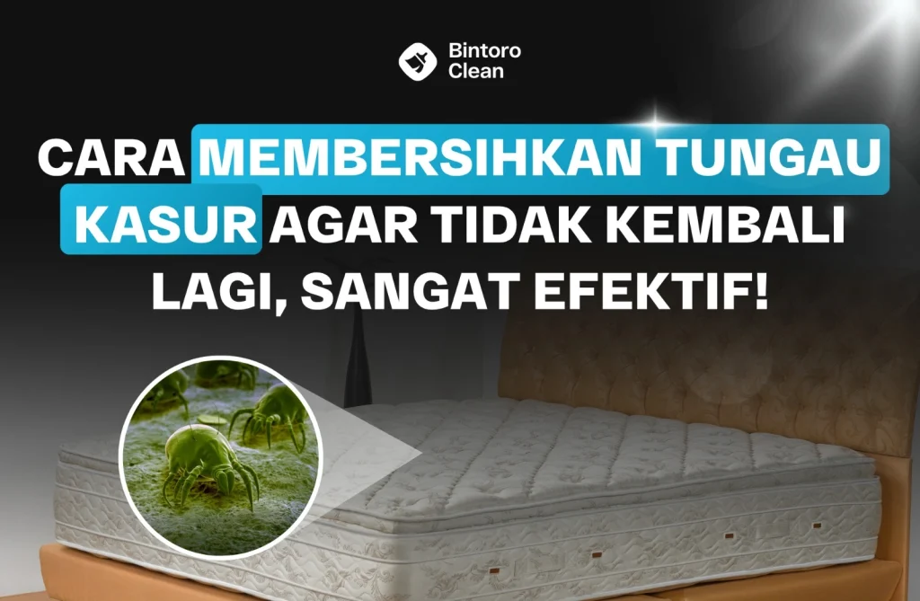 Cara Membersihkan Tungau Kasur Agar Tidak Kembali Lagi, Sangat Efektif!