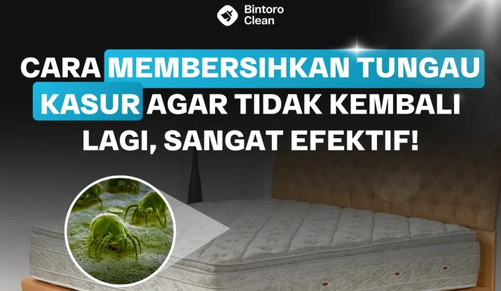 Cara Membersihkan Tungau Kasur Agar Tidak Kembali Lagi, Sangat Efektif!