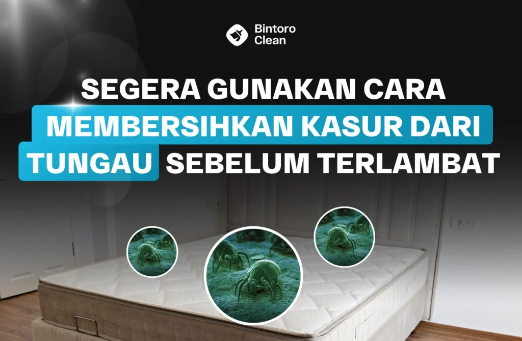 membersihkan-kasur-dari-tungau