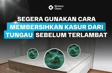 membersihkan-kasur-dari-tungau