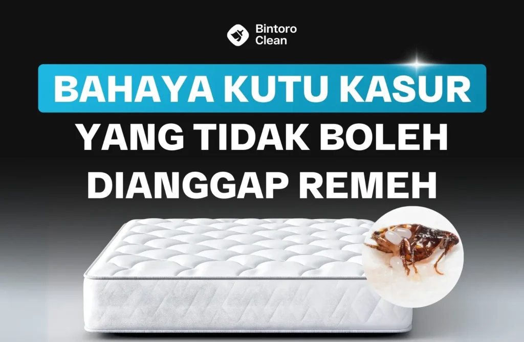 bahaya kutu kasur