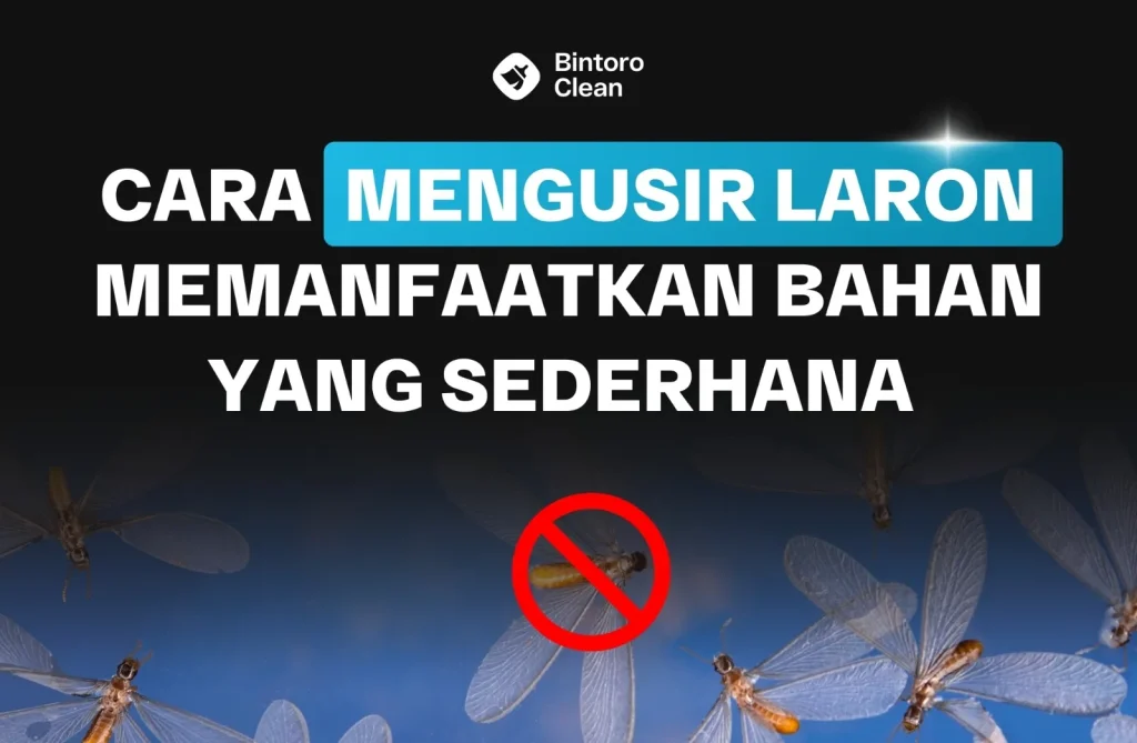 cara mengusir laron memanfaatkan