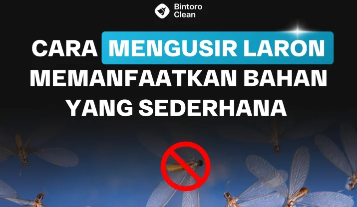 cara mengusir laron memanfaatkan