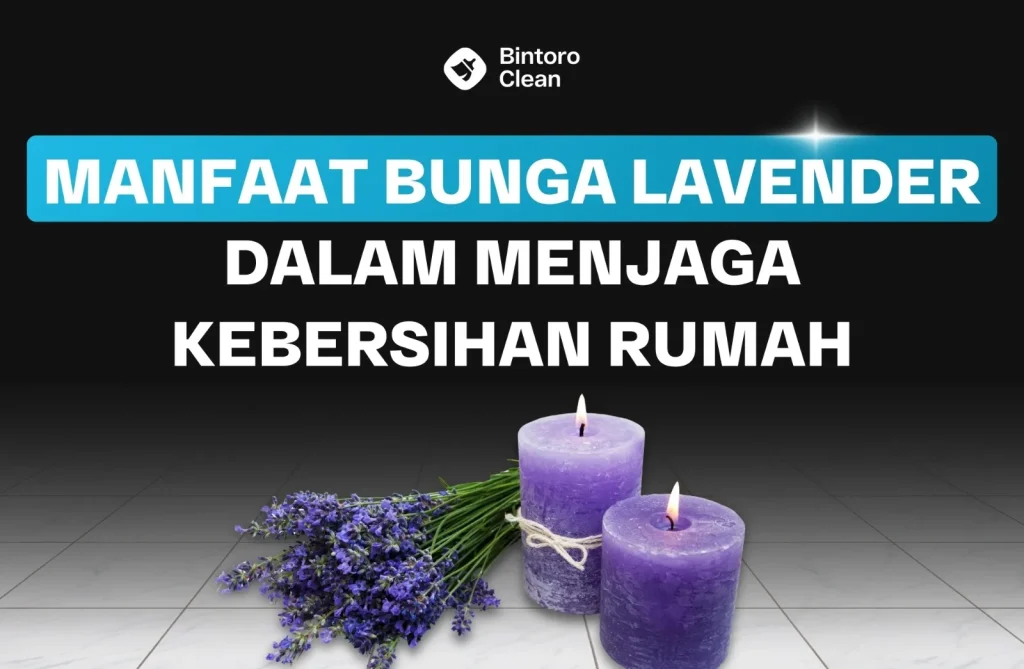 manfaat bunga lavender