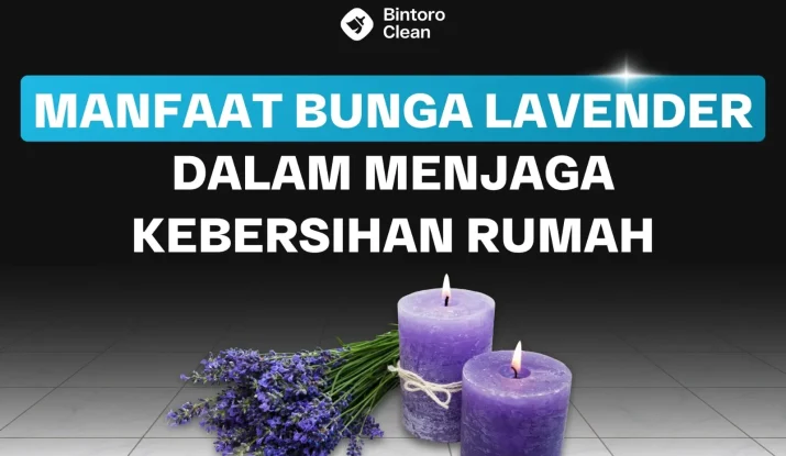 manfaat bunga lavender