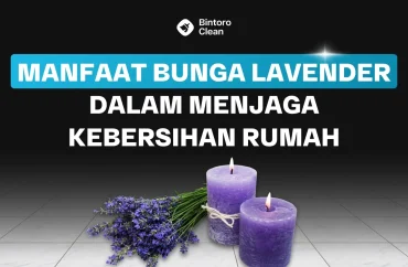 manfaat bunga lavender