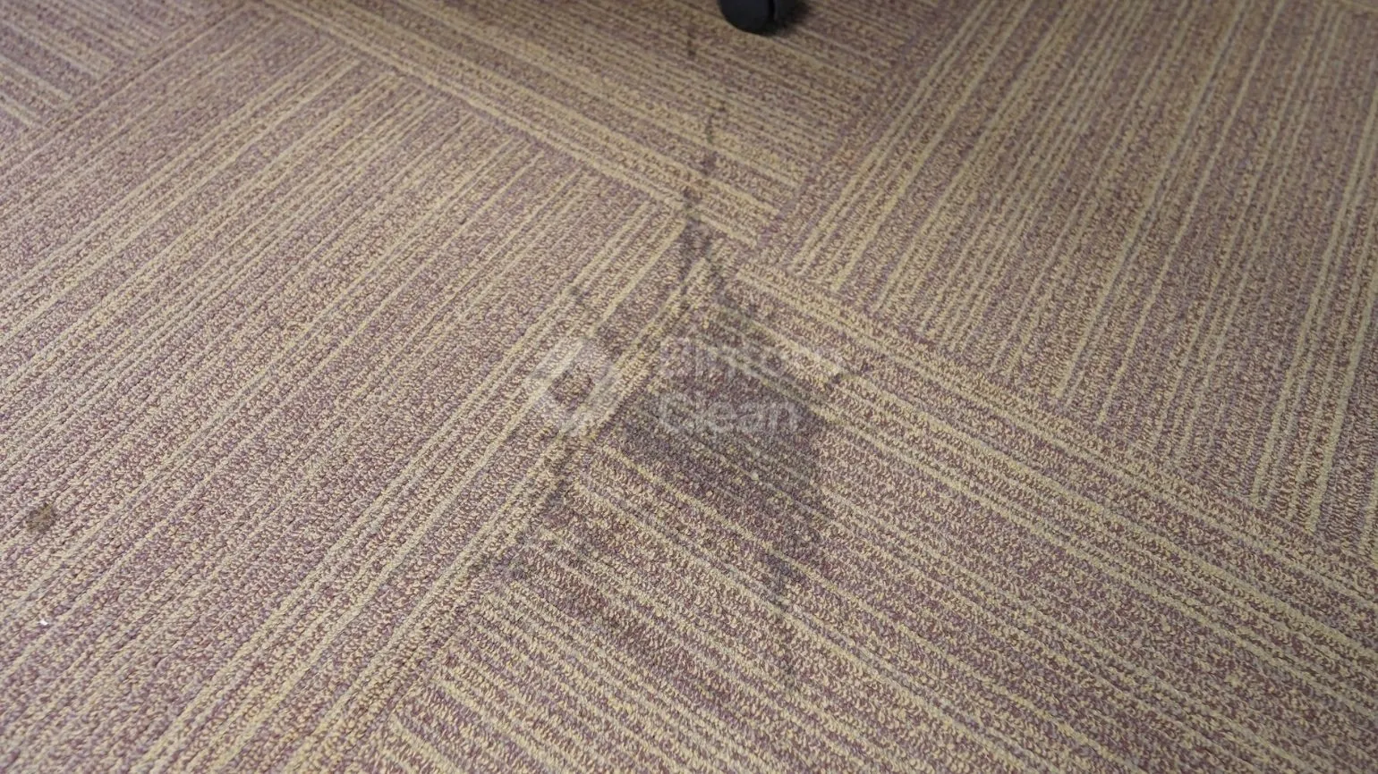 Before Jasa Cuci Karpet 1 Jasa Cuci Karpet Kantor